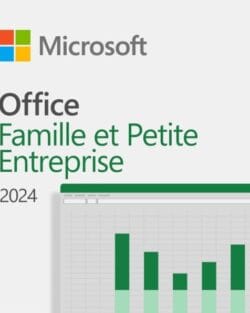 Microsoft Office Famille et Petite Entreprise 2024