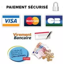 Paiement des dépannages informatiques